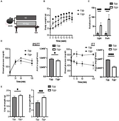 The role of chicken eggs in modulating sarcopenic obesity and gut microbiota in db/db mice